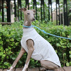 Vêtement pour animaux de compagnie anti-salissure simple pour sorties, veste de protection solaire d'été OEM en gros pour lévrier italien et <span class=keywords><strong>whippet</strong></span> - Product Image 6