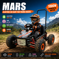 Kart électrique 500W 48V pour adultes, buggy de course sur route, autonomie de 40 km, haute puissance, certifié CE, vitesse de 35 km/h, véhicule de karting