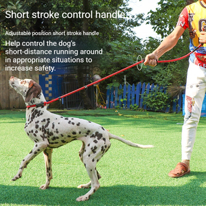 Correa de Nailon Resistente a Roturas para Perros con Cinta Reflectante, Correa para Caminar al Aire Libre, Mango de Espuma Suave y Collar de Control Rápido - Product Image 3