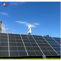 Énergie alternative pour usage domestique, éolienne 500W 1KW 2KW 3KW avec batterie lithium-ion, diamètre de rotor personnalisable
