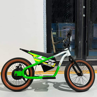 Vélo d'équilibre électrique pour enfants 16 pouces, moteur sans balais 250W avec pneus tout-terrain, moto électrique pour enfants