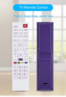 Télécommande tout-en-un universelle RCT042 IR//RF/2.4G à code fixe, commande vocale, portée de 10 m pour décodeur/télévision/audio