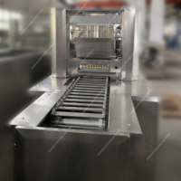 Machine à bonbons semi-automatique de petite capacité, machine à bonbons gélifiés, déposeuse de bonbons durs, machine à sucettes
