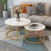 Table basse minimaliste pour salon, mobilier de maison, style moderne et luxueux, durable, avec cadre en métal rond et plateau en bois