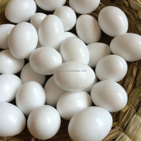 Venta al por mayor huevos ficticios de plástico modelo granja de aves de corral uso doméstico huevos artificiales de plástico para niños DIY pintado a mano rompecabezas huevo de juguete