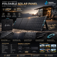 Module solaire pliable haute puissance conçu pour les aventures en plein air, les excursions de camping et les systèmes d'énergie autonome
