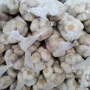 Chine Fournisseur d'origine Vente en gros de haute qualité Nouvelle culture Ail <span class=keywords><strong>frais</strong></span> blanc normal - Product Image 6