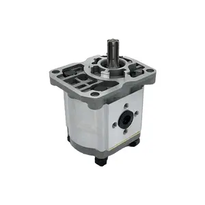 Hydraulic Gear Pump NSH Series Gear Pump Eastern Europe Russia NSH 16m-3l Gear Pump Double N16 Industry and Agriculture 3600 Rpm
