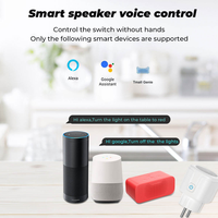 Adaptateur de prise WiFi intelligent WALE 16A Tuya avec moniteur de puissance, prise EU, commande vocale, minuterie, compatible Google Home et Alexa, pour maison connectée