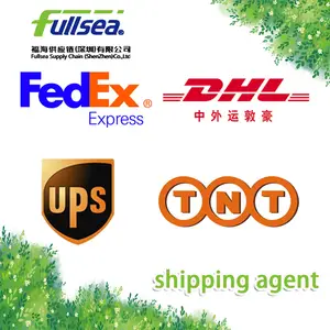 Transporte de Carga aérea da China para Omã Muscat DHL/FEDEX/TNT/UPS