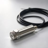 Transmitter Kecepatan Getaran 4-20mA IP68 0-50mm/s 10Hz-1kHz 304SS Sensor Getaran MEMS OEM untuk Pemantauan Peralatan Berputar