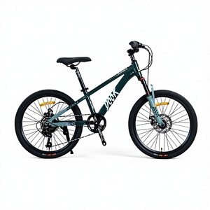 Vélo de montagne pour garçons de 20 pouces, VTT avec frein à disque et matériau en alliage d'aluminium pour la conduite aventureuse - Product Image 6