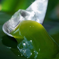 Poudre d'extrait de feuille de Pandan naturelle de qualité alimentaire, poudre de feuille de Pandan émeraude biologique