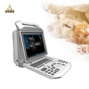 Sterke Uithoudingsvermogen Goedkoopste Draagbare Veterinaire Echografie Veterinaire Ultrasound Machine Voor Honden Katten