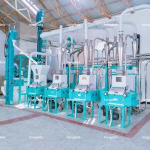 Machine à moudre le maïs 30T/D <span class=keywords><strong>en</strong></span> stock au Kenya, livraison <span class=keywords><strong>rapide</strong></span> pour les acheteurs - Product Image 2