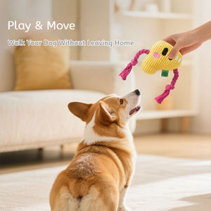 Jouet à mâcher pour chien en polyester durable, design exclusif, écologique, style dessin animé, lettres de l'alphabet, corde de mastication pour soulagement et nettoyage des dents - Product Image 5