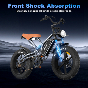 Vélo de ville électrique, 750W, 48V, longue portée, livraison de vélo électrique, gros pneu, vélo de montagne électrique avec CE - Product Image 4