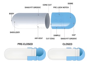 Wecaps Sertifikalı Boş Sert Jelatin Kapsüller Mavi Kapsül Hap Boş Sert Jelatin Kapsüller - Product Image 6