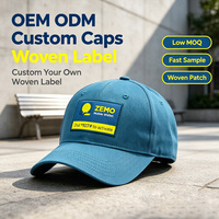 Gorra de Béisbol Curva de 6 Paneles con Etiqueta Bordada Personalizada de Algodón, Estilo Ajustable Unisex para Deportes al Aire Libre