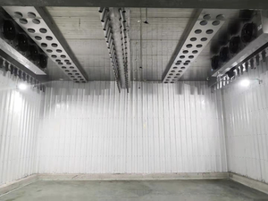 Máquina Comercial Automática de Descongelación de Carne con Almacenamiento Térmico, Baja Temperatura y Alta Humedad para Conservación de Frescura - Product Image 4