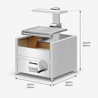Barbecue au charbon de bois portable moderne de qualité supérieure en acier inoxydable 304 avec allumage piézoélectrique
