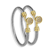Gedraaide draad titanium stalen armband dames- en herenarmbanden met kabeldraad, drukknoopsluiting, fruitkomvormige handversieringen
