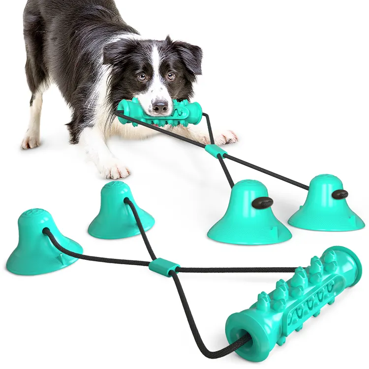 गर्म बिक्री कुत्ते खिलौना चबाना इंटरैक्टिव tpr पालतू दाढ़ काटने खिलौने 2 सक्शन कप कुत्ते खिलौना