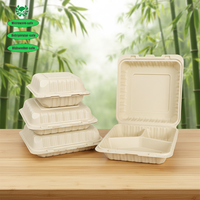 Prodotti Ecologici, Contenitori per Alimenti Biodegradabili in Bambù, Scatole per Pranzo da Asporto con Coperchio a Cerniera