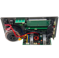 Solution d'amplificateur de puissance DSP personnalisée 250W avec entrée USB TF TWS double micro et guitare pour système de haut-parleurs portables