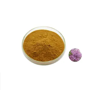 GMP factory supply Flos Caryophyllata extract