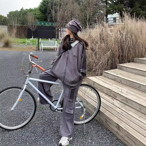 Women <b>Tracksuit</b> Set Apricot Gray <b>Polyester</b> Breathable Casual Sportswear Two Piece Loose Fit Spring Autumn Korean Style - Product Image 4