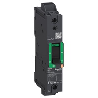 Disjoncteur à boîtier moulé BGL16060 60A1P, 600 V AC, 125 V DC, capacité de coupure 65 kA, borniers à vis, rail DIN