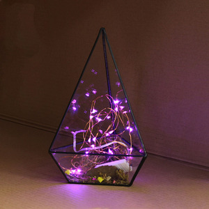 Guirlandes lumineuses à LED RGB à piles, fil de cuivre, 16 couleurs, étanches, lumières féériques pour mariage, fête, Noël - Product Image 3
