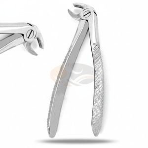 Pince d'extraction de qualité supérieure #38 motif anglais en acier inoxydable de haute qualité Instruments médicaux dentaires Extraction chirurgie buccale - Product Image 1