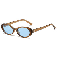 Vente chaude Anti-UV Lunettes Rétro Ovale Petit Cadre Lunettes De Soleil Femmes Hot Style Lunettes De Soleil En Plein Air Plage Accessoires
