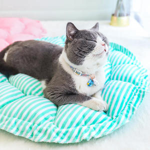 Factory Wholesale Modern Round <strong>Doghouse</strong> Washable Coral Fleece Pet Bed with Printed Pumpkin Nest <strong>Design</strong> for Dogs - Product Image 6