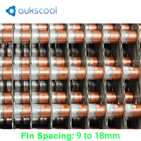 Refroidisseur d'air évaporatif haute performance AUKS 22,2 kW |   Réfrigération industrielle à basse température avec deux ventilateurs de 630 mm, fourniture d'usine
