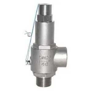 High Quality Stainless Steel Safety Relief Valve Threaded Safety Valve