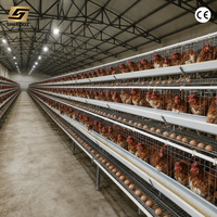 Système d'élevage avicole pour poules pondeuses, cages 3 batteries, résistantes à la corrosion
