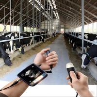 Alat USG Veteriner Portabel Mesin USG B untuk Deteksi Kebuntingan Hewan Sapi Kuda Babi Domba