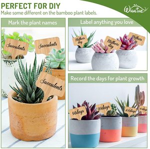 Touchfive — marqueurs de plantes écologiques à types d'arbre, pour graines, herbes en pot, fleurs et légumes, étiquettes de plantes en bambou - Product Image 5