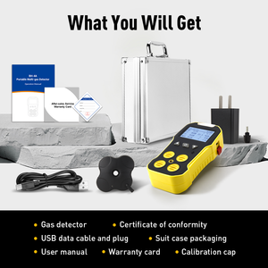 Bosean Lpg/<strong>h2s</strong>/ph3/voc/co/co2 Ozone Oxygen Natural Hydrogen Combustible Smart Industrial <strong>Multi</strong> Portable 4 in 1 <strong>Gas</strong> Leak <strong>Detector</strong> - Product Image 6