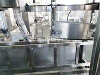 Ligne de production clé en main pour l'embouteillage d'eau industrielle de 5 gallons (20 L) pour l'installation d'une usine d'eau