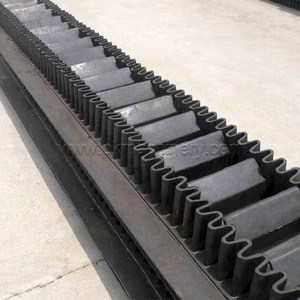 Nastro Trasportatore Verticale con Nastro Laterale Corrugato - Product Image 4