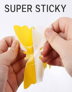 Custom Shape Irregular Sticky Traps, Pet &amp; Child Safe Gnat <strong>Killer</strong> for Houseplants, Vegetables &amp; Fruit <strong>Trees</strong> - Product Image 5