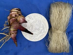 Fideos de Almidón de Vermicelli Orgánicos de Primera Calidad Hechos en Vietnam - Product Image 4