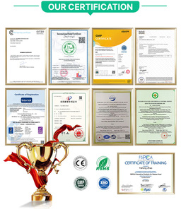 Extrait biologique de champignon de queue de dinde Complément alimentaire pour le cerveau Capsules de champignon de queue de dinde - Product Image 2