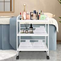 Prix d'usine Oem Odm Meubles Blanc En Acier Inoxydable 3 Niveaux Utilitaire Rolling Spa Chariot Chariot Salon Chariot