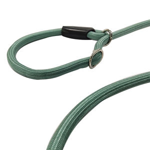 पर्यावरण के अनुकूल नायलॉन कुत्ते पट्टा कॉलर सेट करें फैशन प्रिंट और पालतू पिल्ला के लिए व्यक्तिगत रिबन के साथ एक रस्सी डिजाइन - Product Image 4