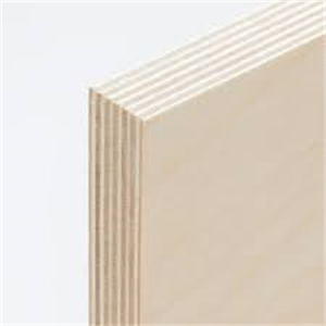 1250*2500mm taille Linyi contreplaqué usine colle phénolique capacité étanche 12 mm épaisseur hêtre placage en bois contreplaqué - Product Image 5